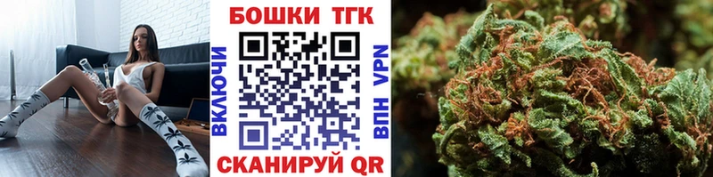 Бошки Шишки планчик Макарьев